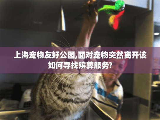 上海宠物友好公园,面对宠物突然离开该如何寻找殡葬服务?