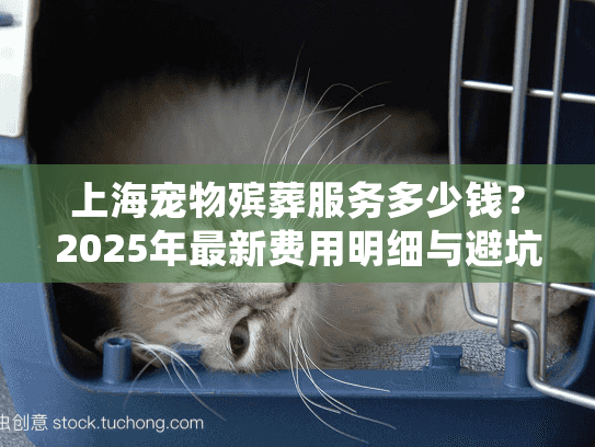 上海宠物殡葬服务多少钱？2025年最新费用明细与避坑指南