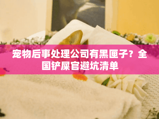 宠物后事处理公司有黑匣子？全国铲屎官避坑清单