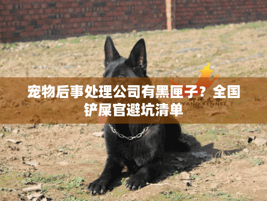 宠物后事处理公司有黑匣子？全国铲屎官避坑清单