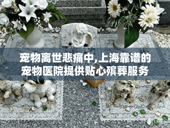 宠物离世悲痛中,上海靠谱的宠物医院提供贴心殡葬服务
