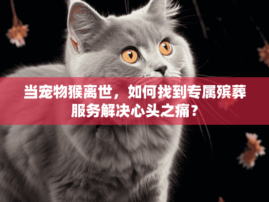 当宠物猴离世，如何找到专属殡葬服务解决心头之痛？