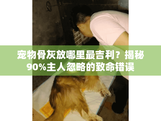 宠物骨灰放哪里最吉利？揭秘90%主人忽略的致命错误