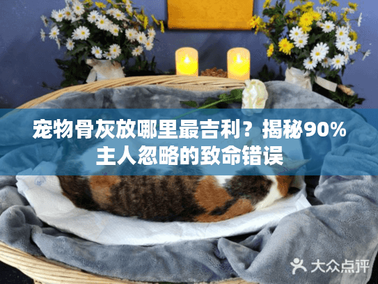 宠物骨灰放哪里最吉利？揭秘90%主人忽略的致命错误
