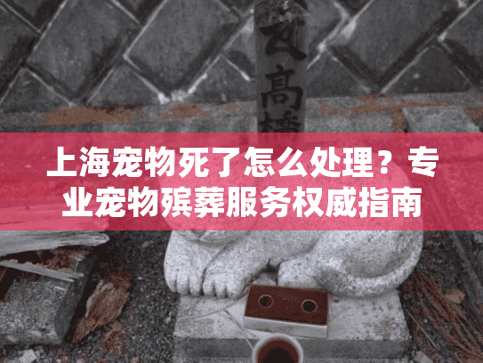 上海宠物死了怎么处理？专业宠物殡葬服务权威指南