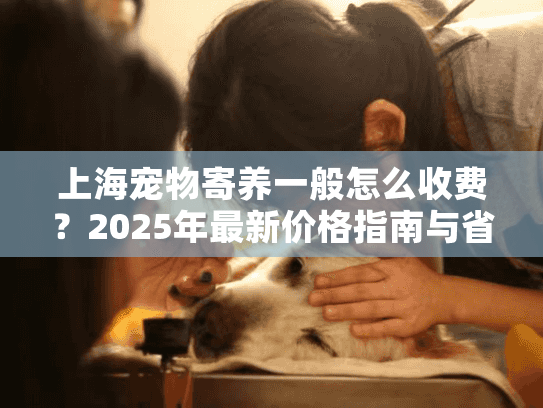 上海宠物寄养一般怎么收费？2025年最新价格指南与省钱建议