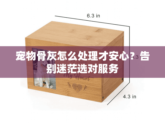 宠物骨灰怎么处理才安心？告别迷茫选对服务