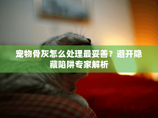 宠物骨灰怎么处理最妥善？避开隐藏陷阱专家解析