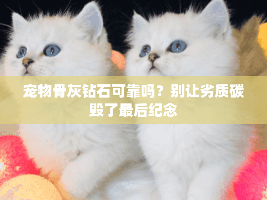 宠物骨灰钻石可靠吗？别让劣质碳毁了最后纪念