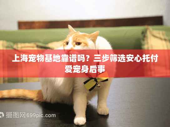 上海宠物基地靠谱吗？三步筛选安心托付爱宠身后事