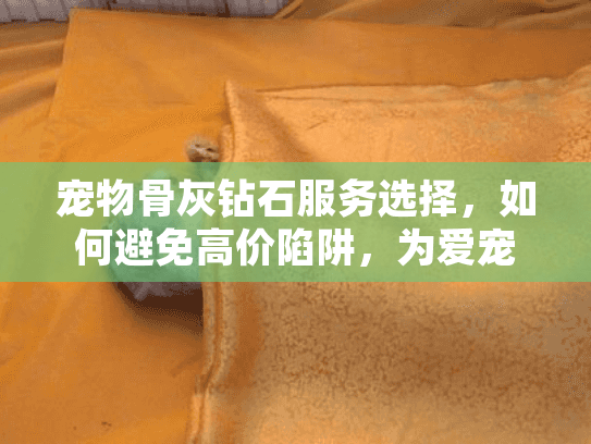 宠物骨灰钻石服务选择，如何避免高价陷阱，为爱宠打造永恒纪念？