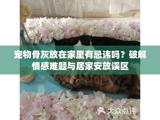 宠物骨灰放在家里有忌讳吗？破解情感难题与居家安放误区