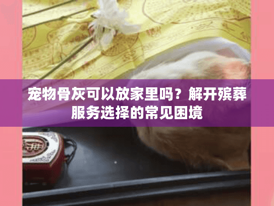 宠物骨灰可以放家里吗？解开殡葬服务选择的常见困境