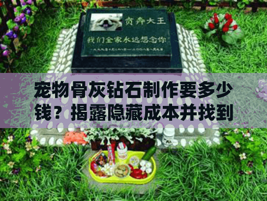宠物骨灰钻石制作要多少钱？揭露隐藏成本并找到最佳方案