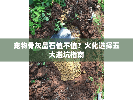宠物骨灰晶石值不值？火化选择五大避坑指南