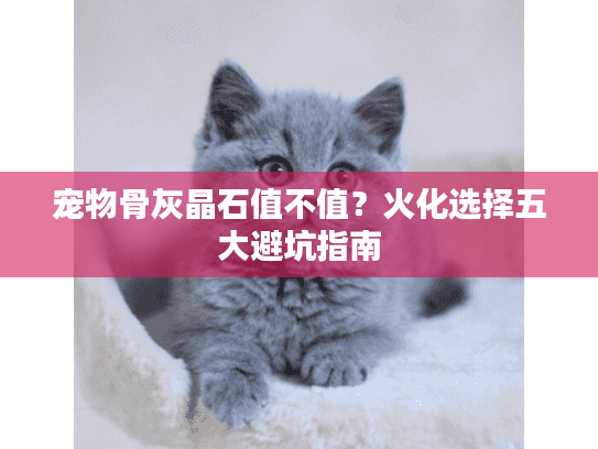 宠物骨灰晶石值不值？火化选择五大避坑指南