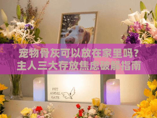 宠物骨灰可以放在家里吗？主人三大存放焦虑破解指南