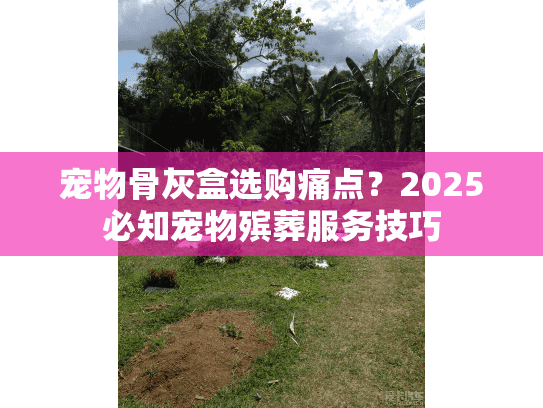 宠物骨灰盒选购痛点？2025必知宠物殡葬服务技巧