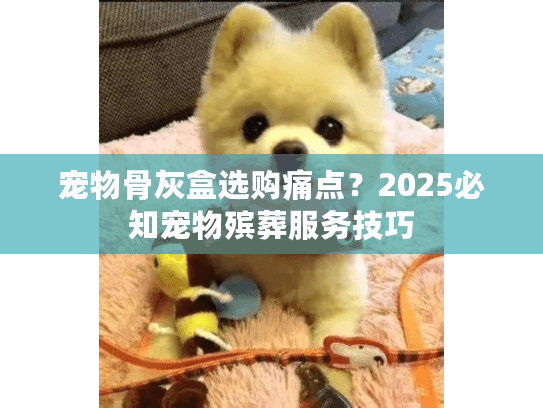 宠物骨灰盒选购痛点？2025必知宠物殡葬服务技巧