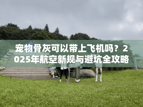 宠物骨灰可以带上飞机吗？2025年航空新规与避坑全攻略