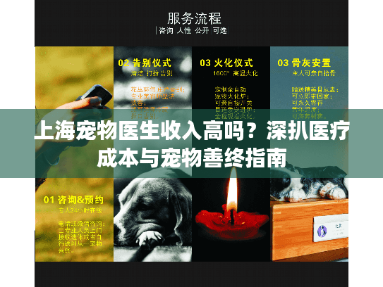 上海宠物医生收入高吗？深扒医疗成本与宠物善终指南