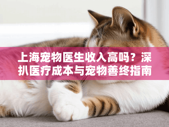 上海宠物医生收入高吗？深扒医疗成本与宠物善终指南