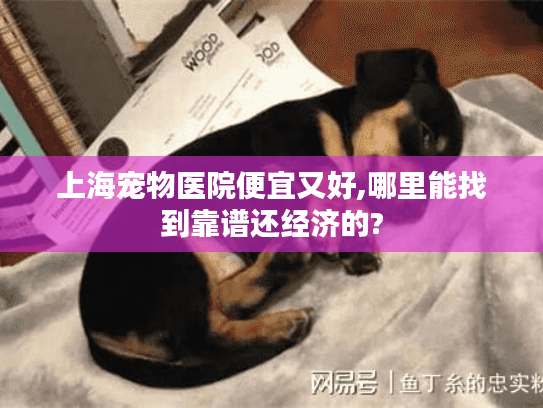 上海宠物医院便宜又好,哪里能找到靠谱还经济的?
