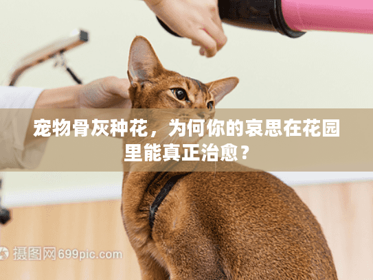 宠物骨灰种花，为何你的哀思在花园里能真正治愈？