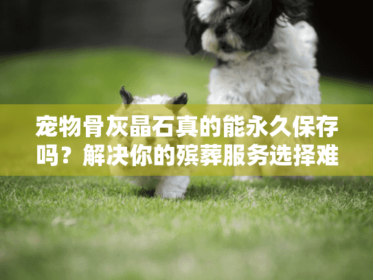 宠物骨灰晶石真的能永久保存吗？解决你的殡葬服务选择难题