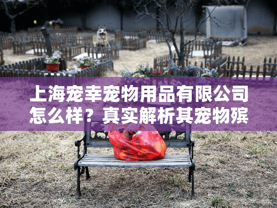 上海宠幸宠物用品有限公司怎么样？真实解析其宠物殡葬服务与用户口碑
