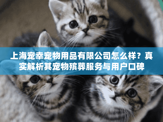 上海宠幸宠物用品有限公司怎么样？真实解析其宠物殡葬服务与用户口碑