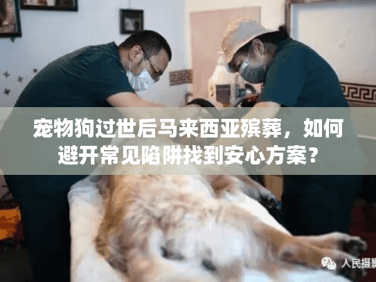 宠物狗过世后马来西亚殡葬，如何避开常见陷阱找到安心方案？