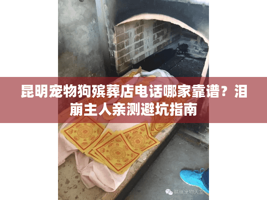 昆明宠物狗殡葬店电话哪家靠谱？泪崩主人亲测避坑指南