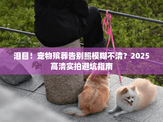 泪目！宠物殡葬告别照模糊不清？2025高清实拍避坑指南