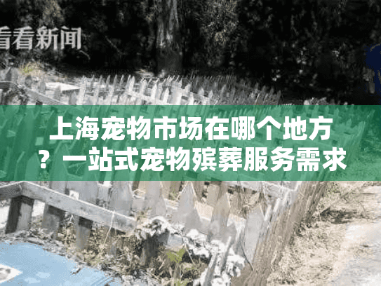 上海宠物市场在哪个地方？一站式宠物殡葬服务需求全解答