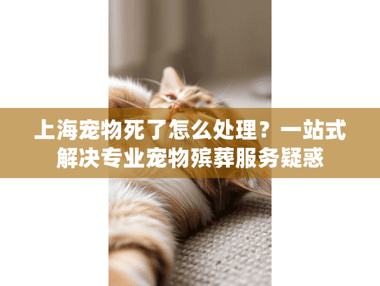 上海宠物死了怎么处理？一站式解决专业宠物殡葬服务疑惑