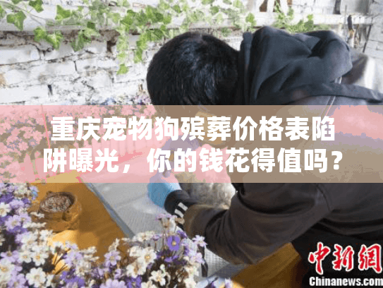 重庆宠物狗殡葬价格表陷阱曝光，你的钱花得值吗？