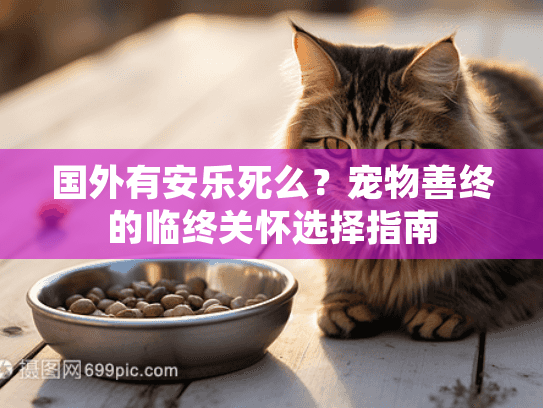国外有安乐死么？宠物善终的临终关怀选择指南
