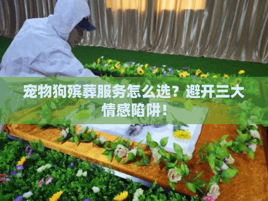 宠物狗殡葬服务怎么选?避开三大情感陷阱! 宠物狗殡葬服务怎么选?避开三大情感陷阱!