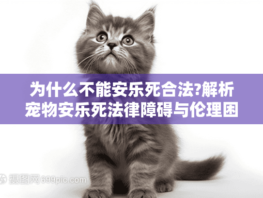 为什么不能安乐死合法?解析宠物安乐死法律障碍与伦理困境