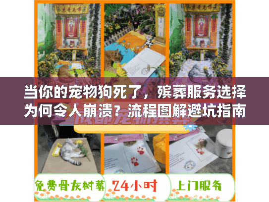 当你的宠物狗死了，殡葬服务选择为何令人崩溃？流程图解避坑指南