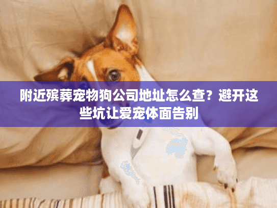 附近殡葬宠物狗公司地址怎么查？避开这些坑让爱宠体面告别