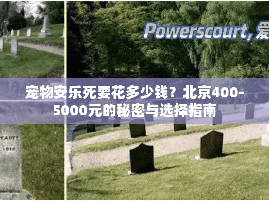 宠物安乐死要花多少钱？北京400-5000元的秘密与选择指南