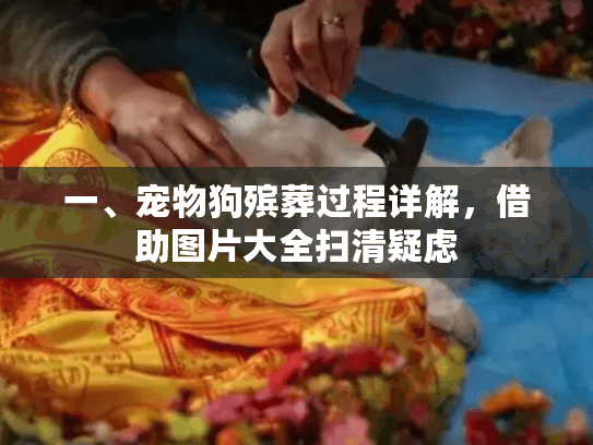 一、宠物狗殡葬过程详解，借助图片大全扫清疑虑