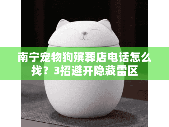 南宁宠物狗殡葬店电话怎么找？3招避开隐藏雷区