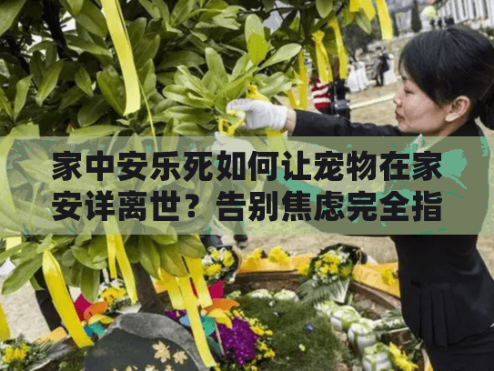 家中安乐死如何让宠物在家安详离世？告别焦虑完全指南