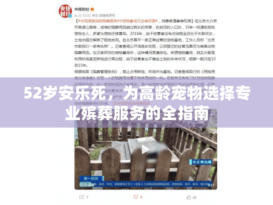 52岁安乐死，为高龄宠物选择专业殡葬服务的全指南