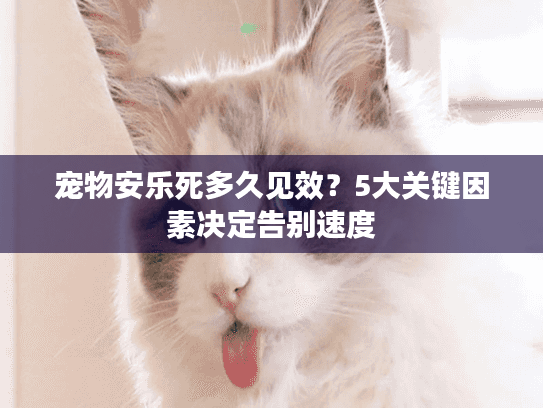宠物安乐死多久见效？5大关键因素决定告别速度