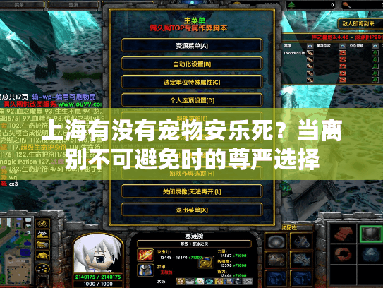 上海有没有宠物安乐死？当离别不可避免时的尊严选择