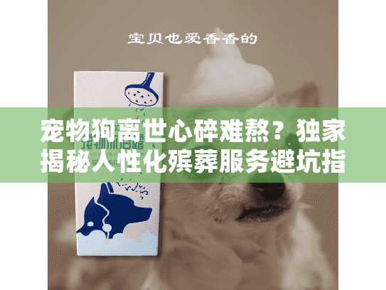 宠物狗离世心碎难熬？独家揭秘人性化殡葬服务避坑指南